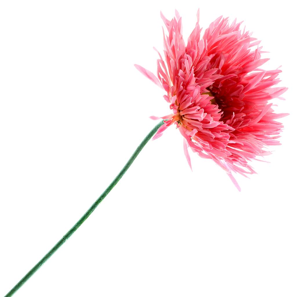 10392669.jpg img